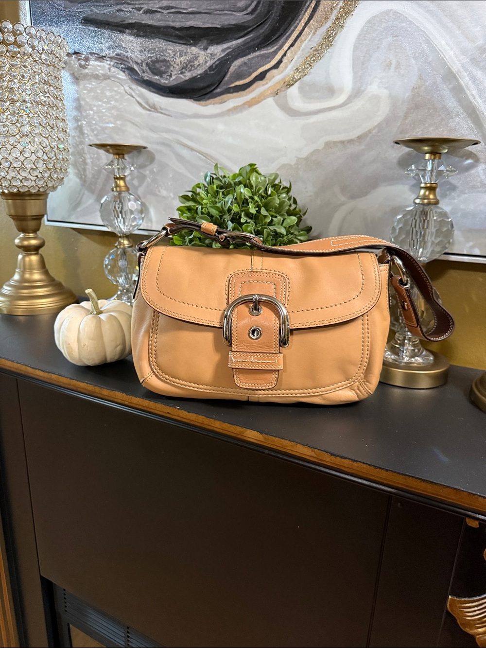 Coach Leather Shoulder Bag